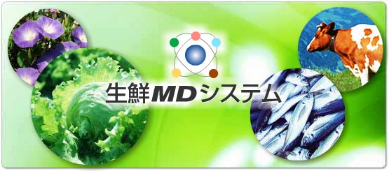 ���NMD�V�X�e��